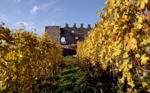 Un castello tra le vigne