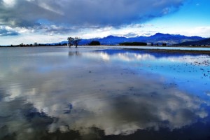 Massaciuccoli dopo l’alluvione