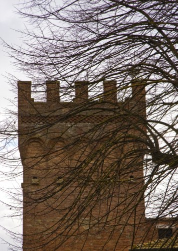 Monteroni d'Arbia - Nascosta tra i rami Monteroni d'Arbia - Nascosta tra i rami