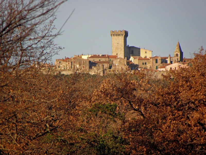 ''Il castello di Magliano in Toscana'' - Magliano in Toscana