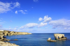 Due fratelli nel blu