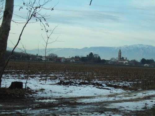 Vedelago - fossalunga Vedelago - fossalunga