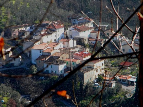 Pistoia - Tra i rami, il borgo di Bussotto Pistoia - Tra i rami, il borgo di Bussotto