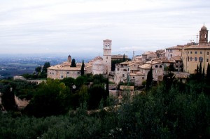assisi n.2