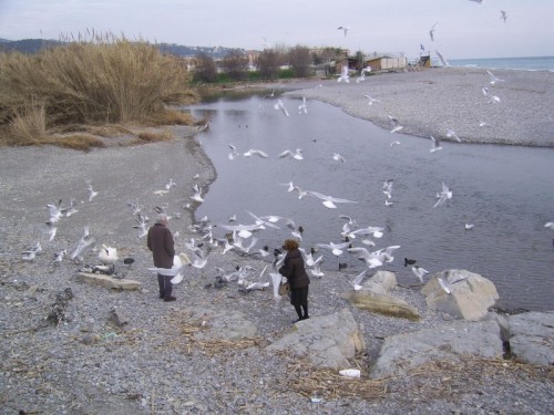 Ventimiglia - la convivenza Ventimiglia - la convivenza