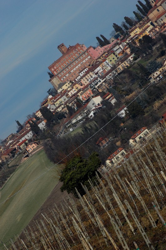 ''nelle vigne'' - San Giorgio Monferrato