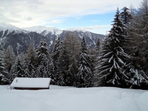 Panorama dall’Alpe di Luson