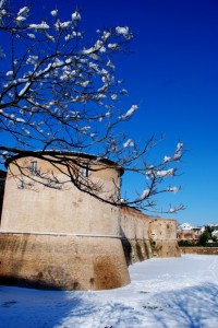 Fiocchi di neve sulla Rocca