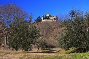 tra gli ulivi il castello di Montestrutto