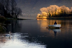 il pescatore e il cigno