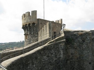 il castello Orsini