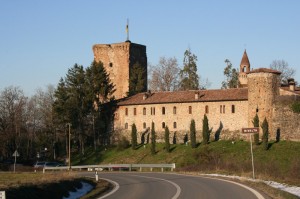 Castello di Rivalta dalla strada