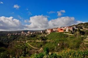 Ferla citta’ dell’ulivo3