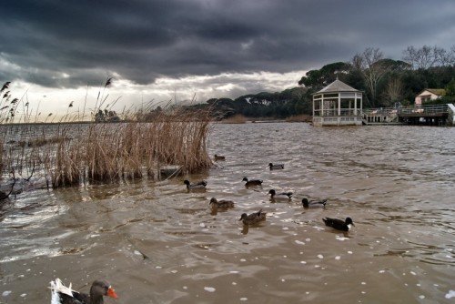 Viareggio - Il Lago Puccini