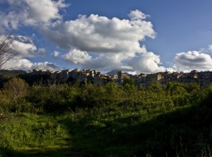 Tra gli agrumeti e il cielo