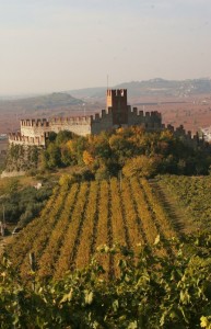 Castello degli  Scaligeri