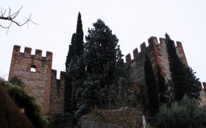 Dal cortile del castello