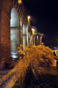 il profio dell’albornz