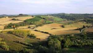 le colline vicino Peccioli