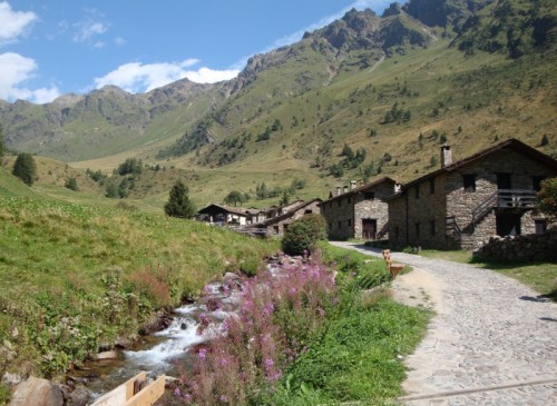 Ponte di Legno - Baite e fiori a Case di Viso Ponte di Legno - Baite e fiori a Case di Viso