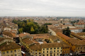 Pisa e il suo orto botanico