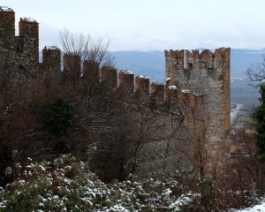 Solitario tra la neve…