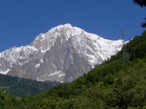 Sua Maestà il Bianco dopo una spruzzatina estiva