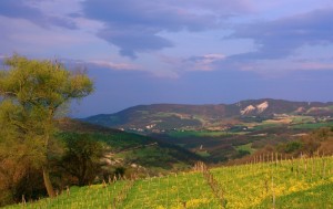 Le colline Umbre intorno ad Assisi