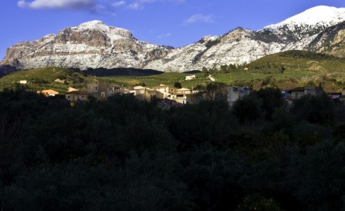 Scillato - Scillato Scillato - Scillato