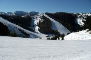 white slopes
