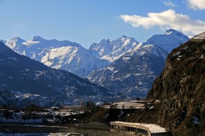 cime candide…