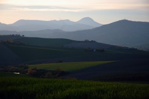 tolentino …campagna al tramonto…