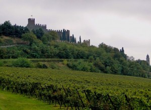 castello di soave circondato dal verde