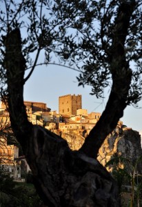 “I due secolari”