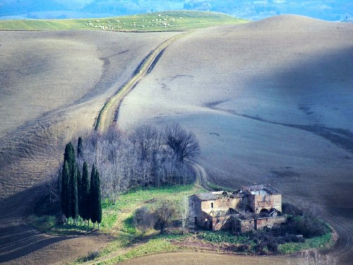 Asciano - Tipico paesaggio delle crete Asciano - Tipico paesaggio delle crete