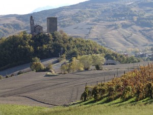 Torre e vigna, Bobbiano, Travo, Val Trebbia, Emilia Romagna