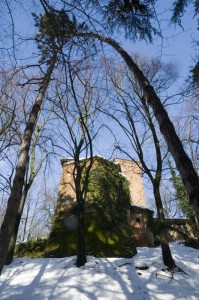 La torre e il parco.