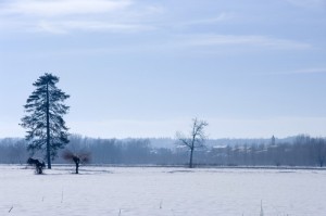 Il paese di Predosa.