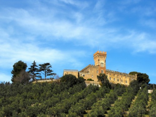 Campiglia Marittima - Il castello che domina gli uliveti