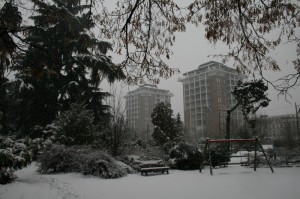 Nevicata ai Giardini Zumaglini