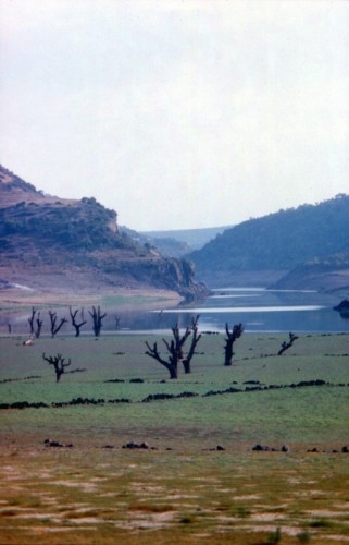 Ghilarza - lago omodeo