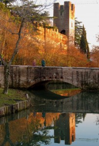 ultime gocce di luce