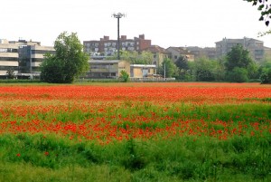 Anche in citta c’è colore