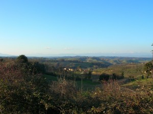 I colli della Valdelsa