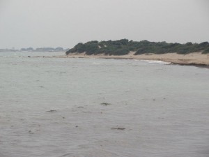 Oltre la spiaggia di Punta Grossa