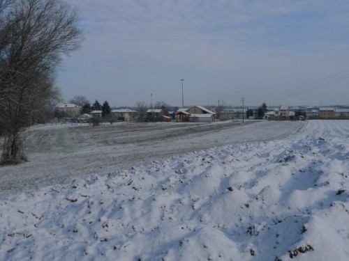 Arena Po - Neve, neve e ancora neve
