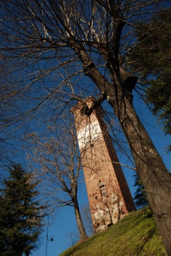 Romano Canavese - torre comunale XIV secolo tra gli alberi Romano Canavese - torre comunale XIV secolo tra gli alberi