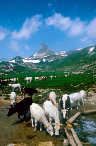 Acceglio - Rocca provenzale Acceglio - Rocca provenzale