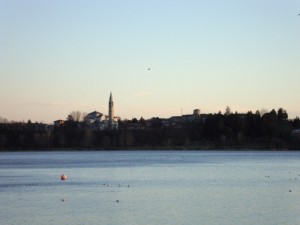 “Basta una sola volta vedere la bellezza; che una volta veduta eternamente accende…