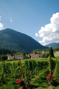 Varna e le viti del suo ottimo vino